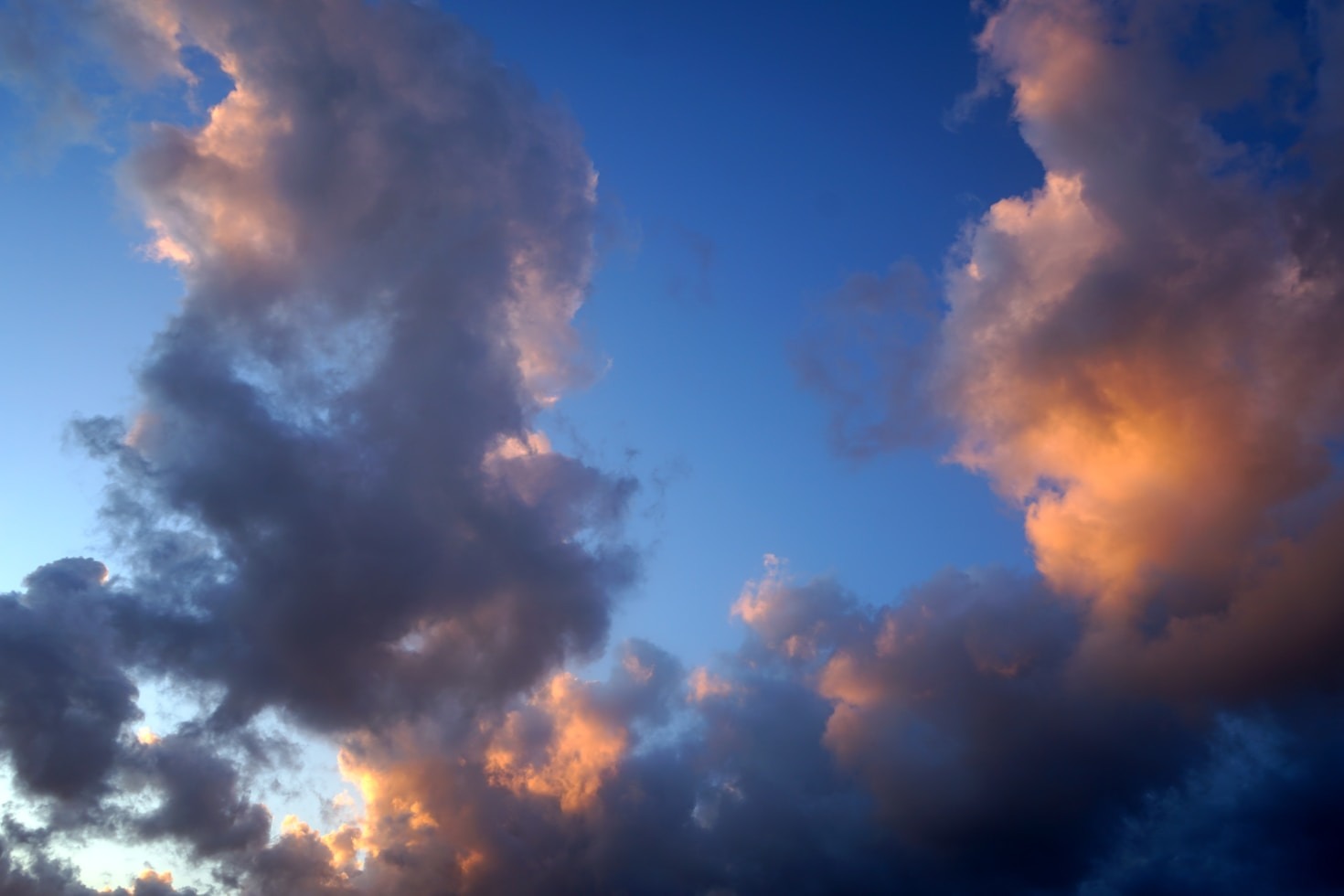 How to Embrace the Small Joys in Life
